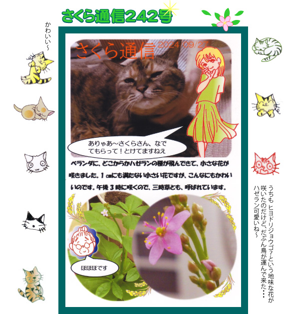 猫のさくらさんのページ