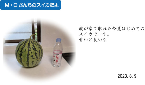 �傫�ȃX�C�J