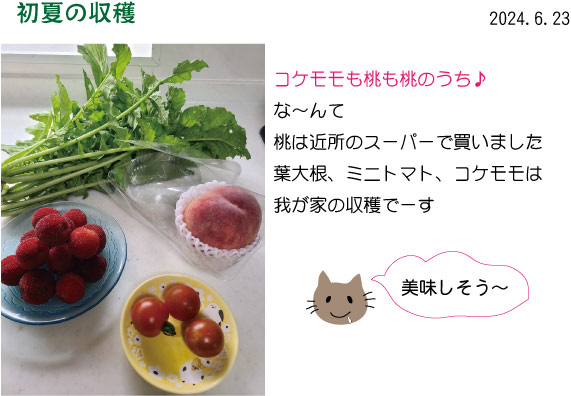 ���Ă̎��n